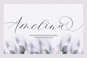 Amelina Duo Font Download