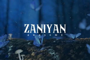 Zaniyan - Sans Serif Font Font Download