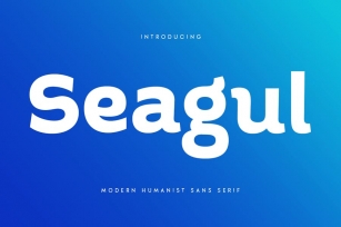 Seagul - Modern Humanist Sans Serif Font Download