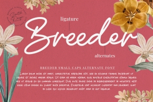 Breeder - Scrip Font Download