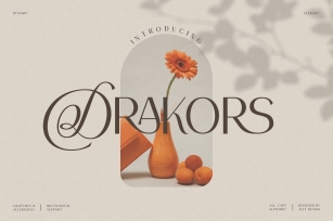 Drakors elegant Font Download