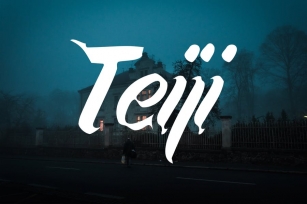 Teiji Font Font Download
