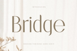 Bridge - Modern Feminine Sans Serif Font Download