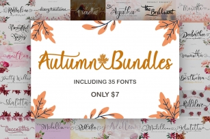 Autumn Bundles Font Download