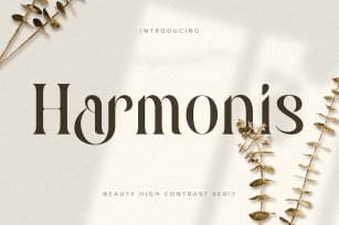 Harmonis - Beauty High Contrast Serif Font Download