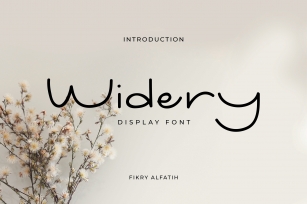 Widery Font Download