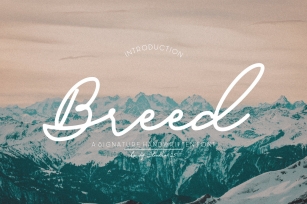 Breed Font Download
