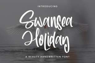 Swansea Holiday Font Download