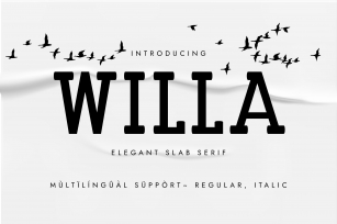 Willa Font Download