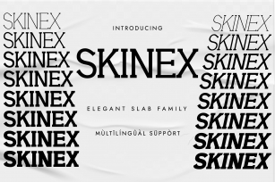 Skinex Font Download