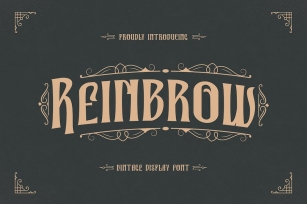 Reinbrow - Vintage Display Font Font Download