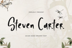 Steven Carter - Asian Hand Drawn Font Font Download