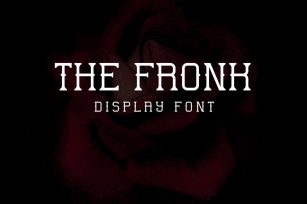 The Fronk Font Download
