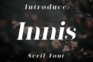 Innis Serif Font Font Download