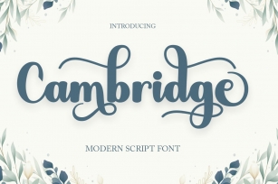 Cambridge Script Font Download