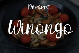 winongo Font Download