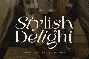 Stylish Delight - Modern Serif Font Download