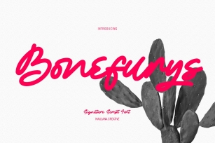 Bonefurys Handwritten Script Font Download