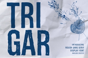 Trigar Rough Sans Serif Display Font Download