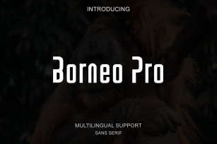 Borneo Pro Font Download