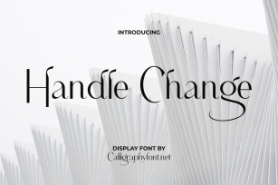 Handle Change Font Download