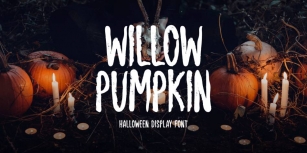 Willow Pumpkin Font Download