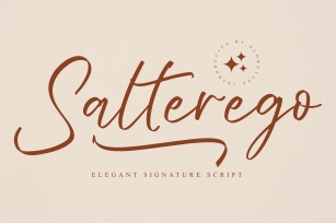 Salterego Font Download