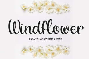 Windflower Font Download