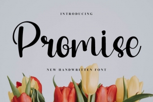 Promise Font Download