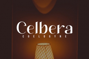 Celbera Coelogyne - Serif Font Font Download