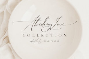 Abiding Love Collection Fonts Font Download