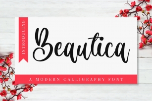 Belle Calligraphy Font Download