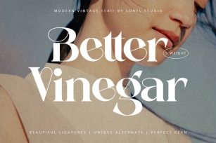 Better Vinegar Font Download