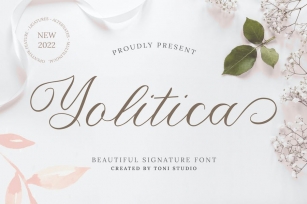 Yolitica |modern handwritten script font Font Download