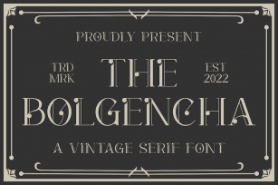 Bolgencha a Vintage Serif Font Font Download