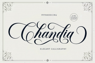 Chandia Elegant Script Font Download