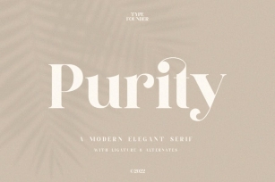 Purity - Modern Ligature Font Font Download