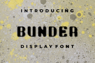 BUNDER FONT Font Download