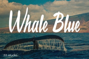 Whale Blue Font Download