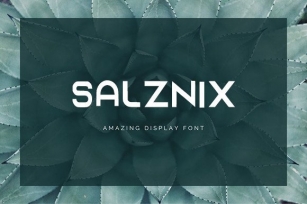 Salznix Font Download