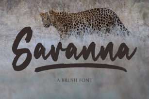 Savanna Font Download