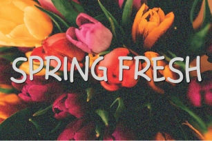 Spring Fresh Font Download