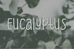 Eucalyptus Font Download