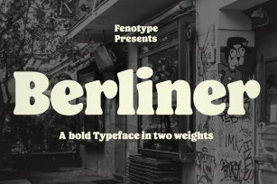 Berliner Typeface Font Download