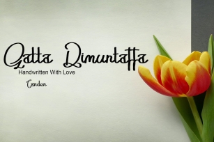 Gatta Dimuntaffa Font Download