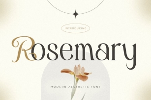 Rosemary - Modern Aesthetic Font Font Download