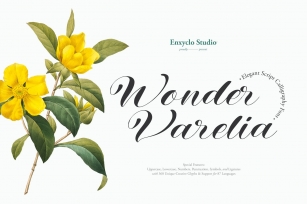 WONDER VARELIA Font Download