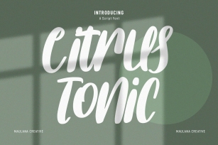 Citrus Tonic Handwritten Script Font Download
