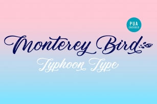 Monterey Bird Font Download