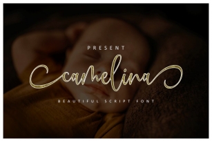 Camelina Script Font Download